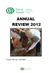 annual review 2013